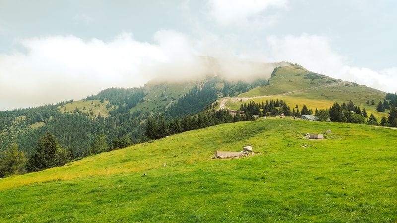 Travel_café_Schafberg