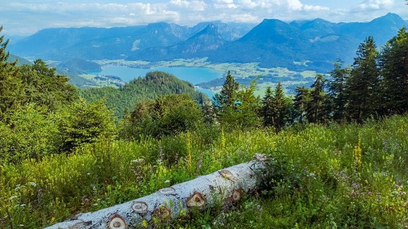Schafberg utazó kávéfőző